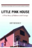 Little_pink_house