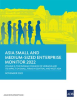 Asia_Small_and_Medium-Sized_Enterprise_Monitor_2022__Volume_II