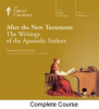 After_the_New_Testament__The_Writings_of_the_Apostolic_Fathers