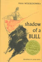 Shadow_of_a_bull